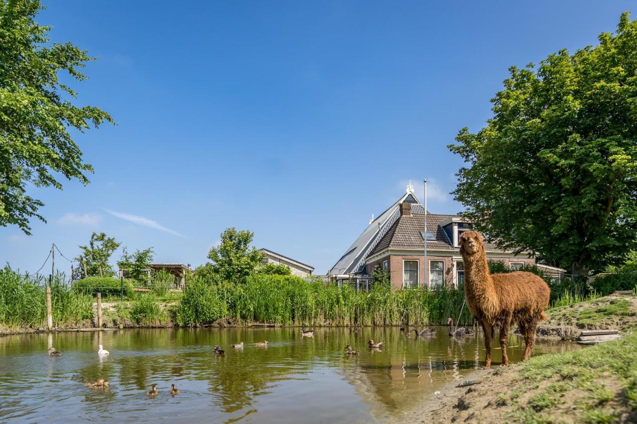Recreatieboerderij Hoeve Noordveld Oude Bildtzijl Kültér fotó